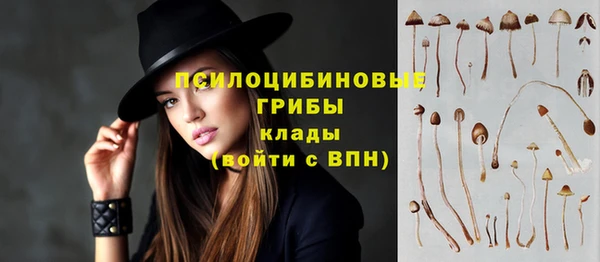 трава Бикин