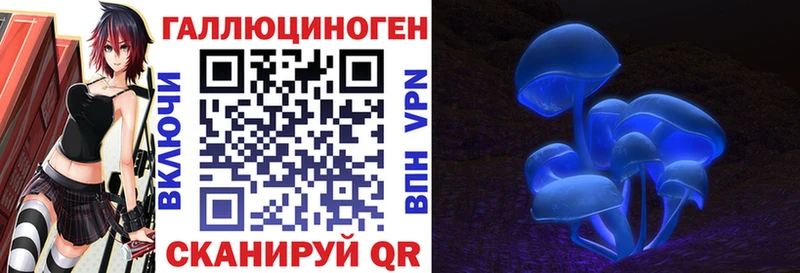 Псилоцибиновые грибы Psilocybe  Кольчугино 