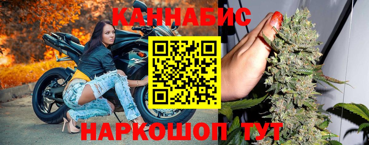 Шишки марихуана гибрид  Бошки марихуана планчик  Бошки Шишки AK-47  Марихуана Bruce Banner  Вход с VPN  Кольчугино 